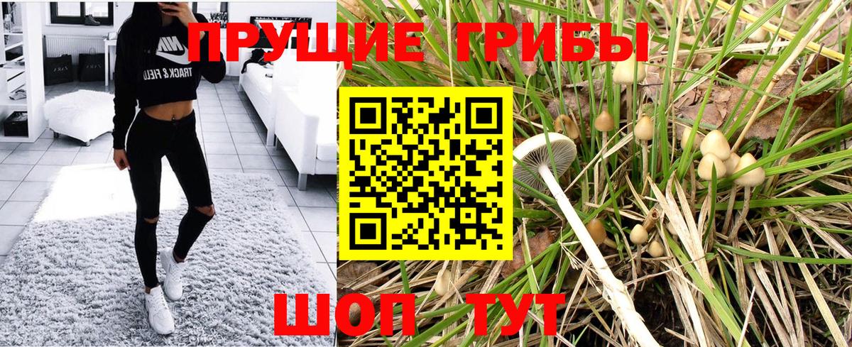 Галлюциногенные грибы прущие грибы  Галлюциногенные грибы GOLDEN TEACHER  сколько стоит  Вход с VPN  Барабинск 