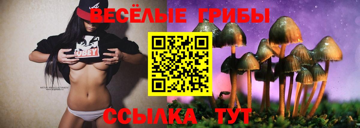 Псилоцибиновые грибы прущие грибы Барабинск